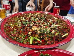 -东吴霸王兔(松青路店)