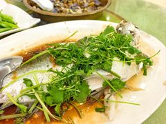 蒸和顺鱼-荣兴河鲜楼