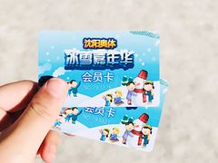 -沈阳奥体冰雪嘉年华