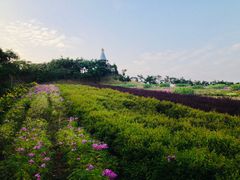 -深圳东部华侨城茵特拉根酒店