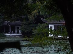 -杭州植物园
