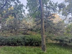 -元大都城垣遗址公园