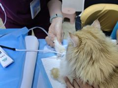 -美联众合动物医院·24h转诊中心
