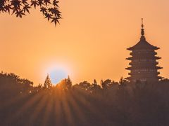 -中国茶叶博物馆(双峰馆区)