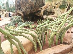 -南通洲际绿博园