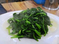炒豌豆尖-雨田饭店(华兴东街店)