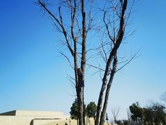 -盘龙城国家考古遗址公园