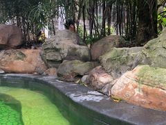 -融汇温泉