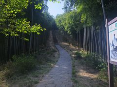 -莫干山风景区