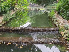 -成都市活水公园