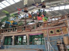 -南宫五洲植物乐园