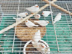 -细村农贸综合市场