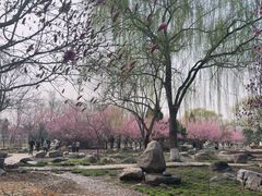 -石家庄市植物园