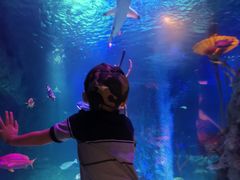 -沈阳海洋探索中心