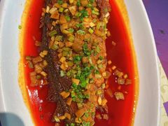-蝴蝶汇音乐酒馆(罗湖店)