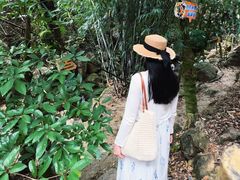 -牛鱼嘴原始生态风景区