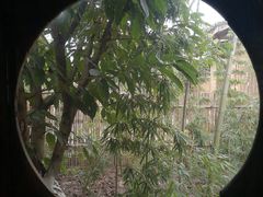 -驿舍·民國老营房院子私房菜(科学会堂店)