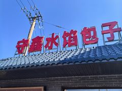 -守鑫水馅包子铺