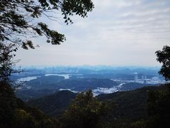 -阳台山森林公园