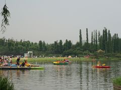 -秀丽东方
