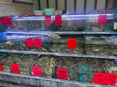 -金海湾海鲜排档(朱家尖店)