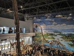 -自贡恐龙博物馆