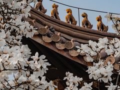 -灵谷景区