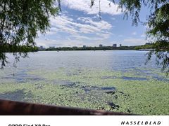 -长春市南湖公园