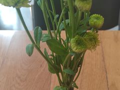 -伊斯坦布尔土耳其清真咖啡餐厅