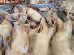 -杨震卤菜旗舰店