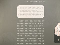 -嘉庚体育馆
