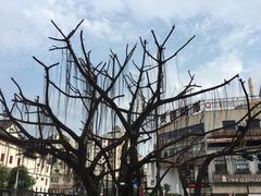 -一棵树·意大利西餐厅One Tree(新城店)
