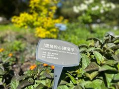 -国家植物园