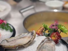 -汤城·料青山