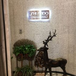 -AKOZO Beauty Salon