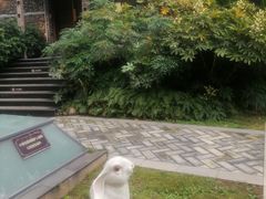 -老房子金沙元年川菜食府·花园餐厅(金沙店)