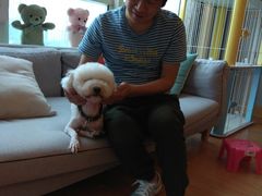 -犬也宠物造型(恒茂国际都会商业街店)