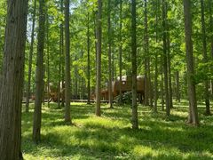 -黄海国家森林公园