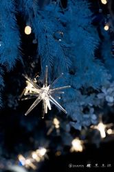 -天邑国际酒店·宴会厅