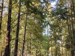 -苏州河梦清园环保主题公园