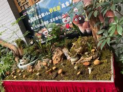 -蔼若春.传承三十年云南菜(金碧公园店)