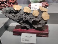 -湖南省地质博物馆