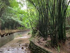 -凤栖山