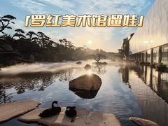 -罗红摄影艺术馆