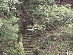-杭州黄龙洞
