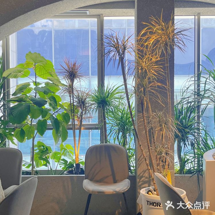 揭阳·拢好粤味｜口味和环境并存的地道粤菜