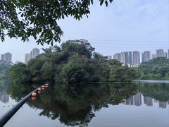 -重庆彩云湖湿地公园