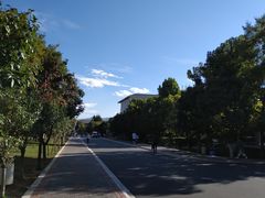 -丽江文化旅游学院