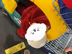 -成都浩海立方海洋公园