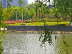 -白塘生态植物园